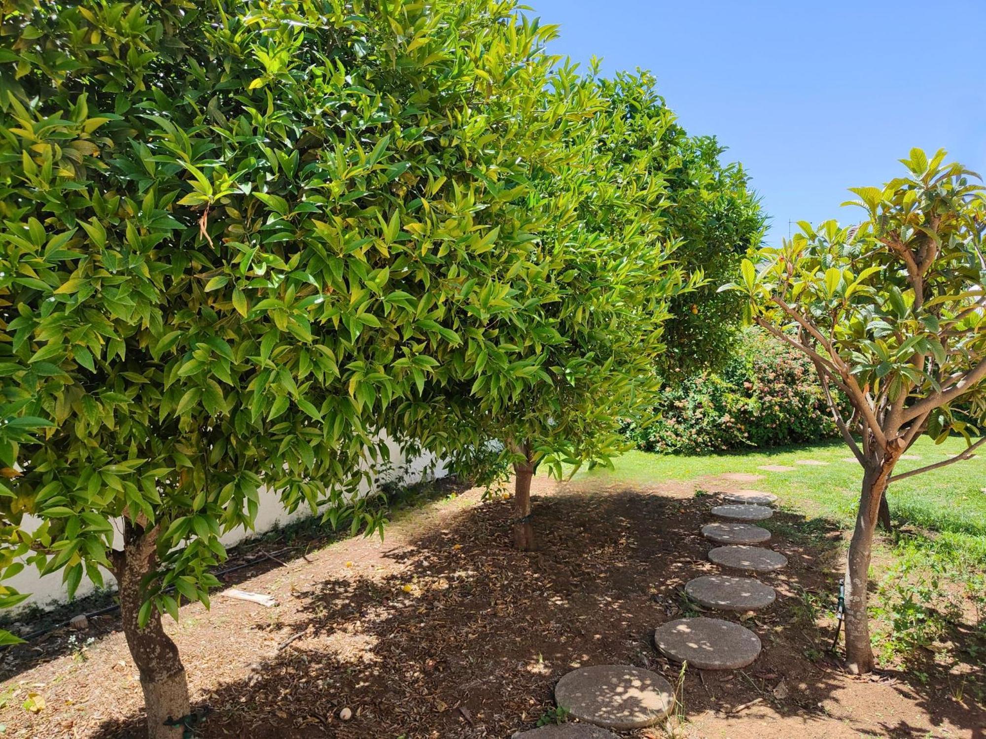 Villa Alfonsa, Fontane Bianche, Siracusa, Private Pool, 10Min From The Beach 外观 照片